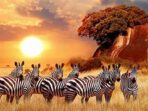 Content image for Travel Tips For Discovering The Lesser-Known Spots In Africa